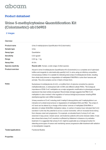 Urine 5-methylcytosine Quantification Kit (Colorimetric) ab156903