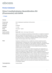 Urine 5-methylcytosine Quantification Kit (Fluorometric) ab156904