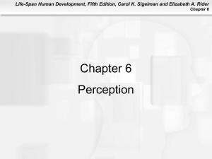 Chapter 6 Perception