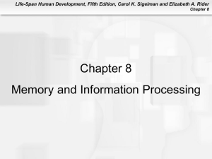 Chapter 8 Memory and Information Processing