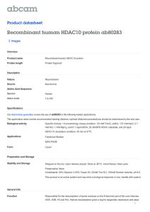 Recombinant human HDAC10 protein ab80283 Product datasheet 2 Images Overview