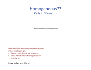 Homogeneous?? Cells in 3D matrix