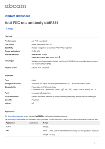 Anti-PKC mu antibody ab59334 Product datasheet 1 Image Overview