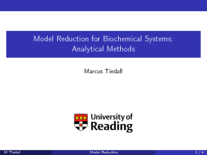 Model Reduction for Biochemical Systems: Analytical Methods Marcus Tindall M Tindall