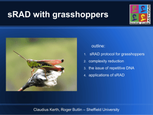 sRAD with grasshoppers outline: