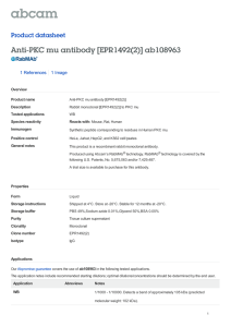 Anti-PKC mu antibody [EPR1492(2)] ab108963 Product datasheet 1 References 1 Image