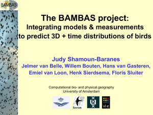 The BAMBAS project : Integrating models &amp; measurements