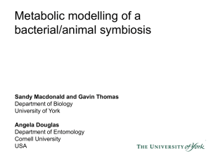 Metabolic modelling of a bacterial/animal symbiosis Sandy Macdonald and Gavin Thomas Angela Douglas