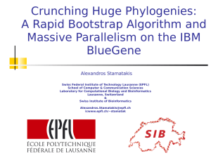 Crunching Huge Phylogenies: A Rapid Bootstrap Algorithm and BlueGene