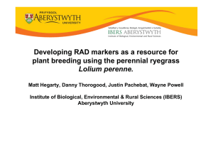 Developing RAD markers as a resource for Lolium perenne.
