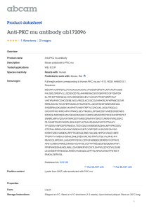 Anti-PKC mu antibody ab172096 Product datasheet 1 Abreviews 2 Images