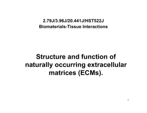 Structure and function of naturally occurring extracellular matrices (ECMs). 2.79J/3.96J/20.441J/HST522J
