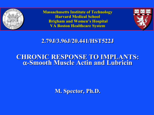 Massachusetts Institute of Technology Harvard Medical School Brigham and Women’s Hospital