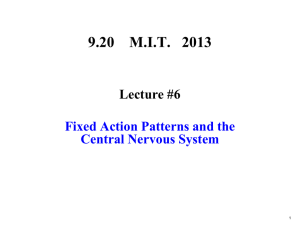 9.20    M.I.T.   2013 Lecture #6