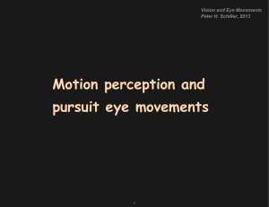 Motion perception and pursuit eye movements Vision and Eye Movements