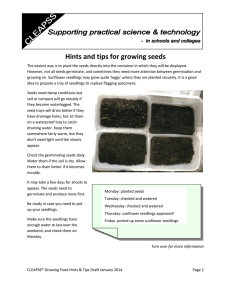 Hints and tips for growing seeds