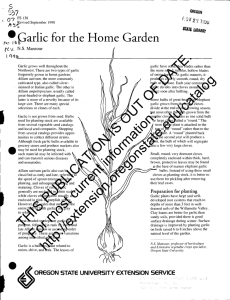 Garlic for the Home Garden rn