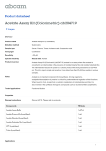 Acetate Assay Kit (Colorimetric) ab204719 Product datasheet 2 Images Overview