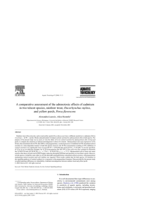 A comparative assessment of the adrenotoxic effects of cadmium Oncorhynchus mykiss