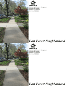 East Forest Neighborhood
