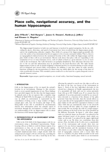 Place cells, navigational accuracy, and the human hippocampus John O'Keefe , Neil Burgess