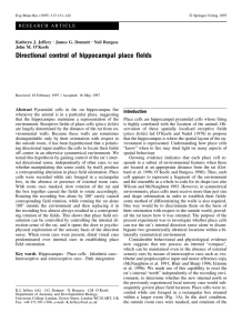 Directional control of hippocampal place fields