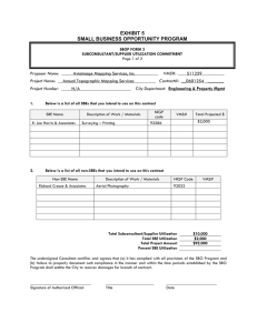 SBOP FORM # 2 EXHIBIT 5 SMALL BUSINESS OPPORTUNITY PROGRAM