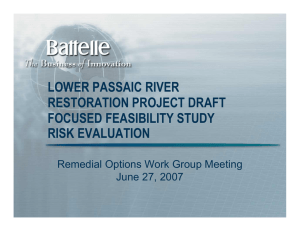 LOWER PASSAIC RIVER RESTORATION PROJECT DRAFT FOCUSED FEASIBILITY STUDY RISK EVALUATION