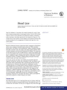 Head Lice CLINICAL REPORT