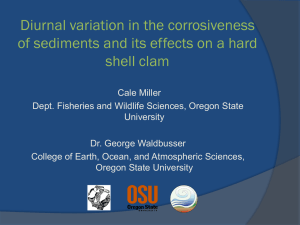 Diurnal variation in the corrosiveness shell clam