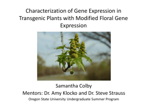 Characterization of Gene Expression in Transgenic Plants with Modified Floral Gene Expression