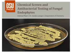 Chemical Screen and Antibacterial Testing of Fungal Endophytes