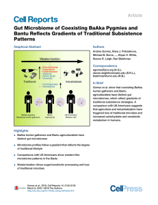 Gut Microbiome of Coexisting BaAka Pygmies and Patterns