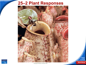 –2 Plant Responses 25 Slide 1 of 32