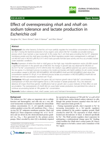 Effect of overexpressing nhaA and nhaR on Escherichia coli