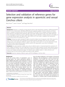 Selection and validation of reference genes for Cenchrus ciliaris