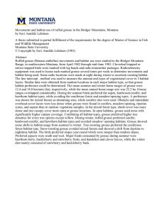 Movements and habitat use of ruffed grouse in the Bridger Mountains,... by Suvi Annikki Lehtinen