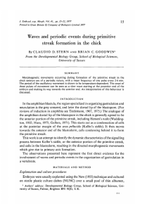 Waves and periodic events during primitive streak formation in the chick