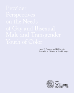 Provider Perspectives on the Needs of Gay and Bisexual
