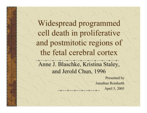 Widespread programmed cell death in proliferative and postmitotic regions of