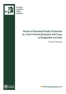 Review of Household Poultry Production on Bangladesh and India