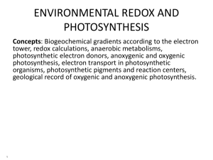 ENVIRONMENTAL REDOX AND PHOTOSYNTHESIS