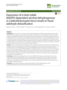Expression of a heat-stable NADPH-dependent alcohol dehydrogenase Caldicellulosiruptor bescii aldehyde detoxification