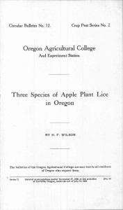 Three Species of Apple Plant Lice in Oregon Oregon Agricultural College