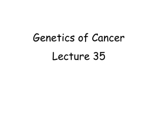 Genetics of Cancer Lecture 35