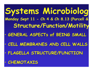 Systems Microbiology Structure/Function/Motility • GENERAL