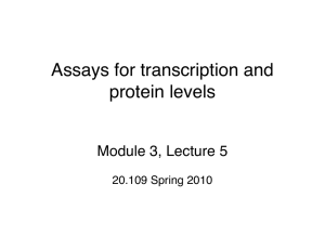 Assays for transcription an d protein levels! Module 3, Lecture 5