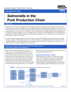 Salmonella Pork Production Chain Pork Safety Fact Sheet