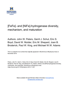 [FeFe]- and [NiFe]-hydrogenase diversity, mechanism, and maturation