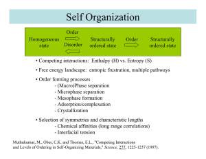 Self Organization
